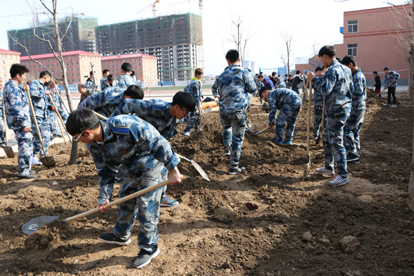 拥抱春天 绿化校园