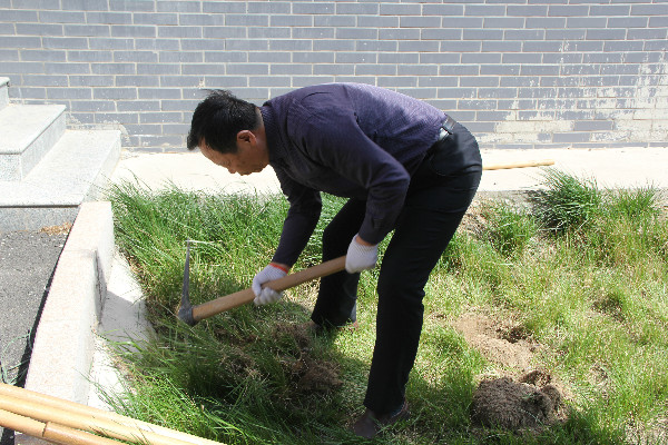 我校师生到贺阳国际中小学参加劳动