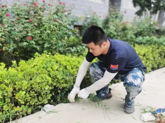 在劳动中把小家融入大家 ——用汗水滋养校园土地