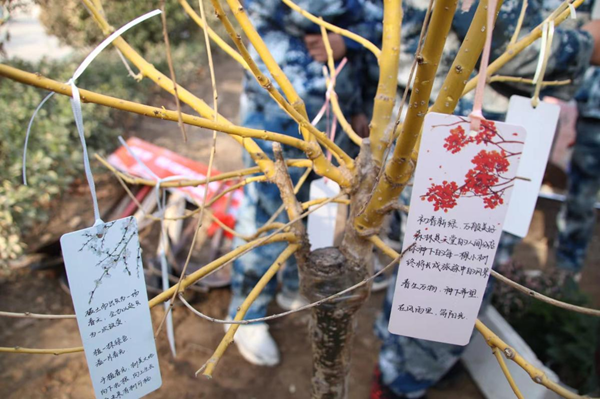 植树节|管理学院|手植一抹绿，心栽一片林