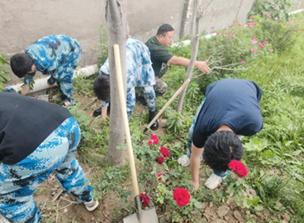 劳动教育|保定理工学院|管理学院|学习劳动精神·践行劳动育人-跟着节气学种植，分享劳动创造的美好乐趣