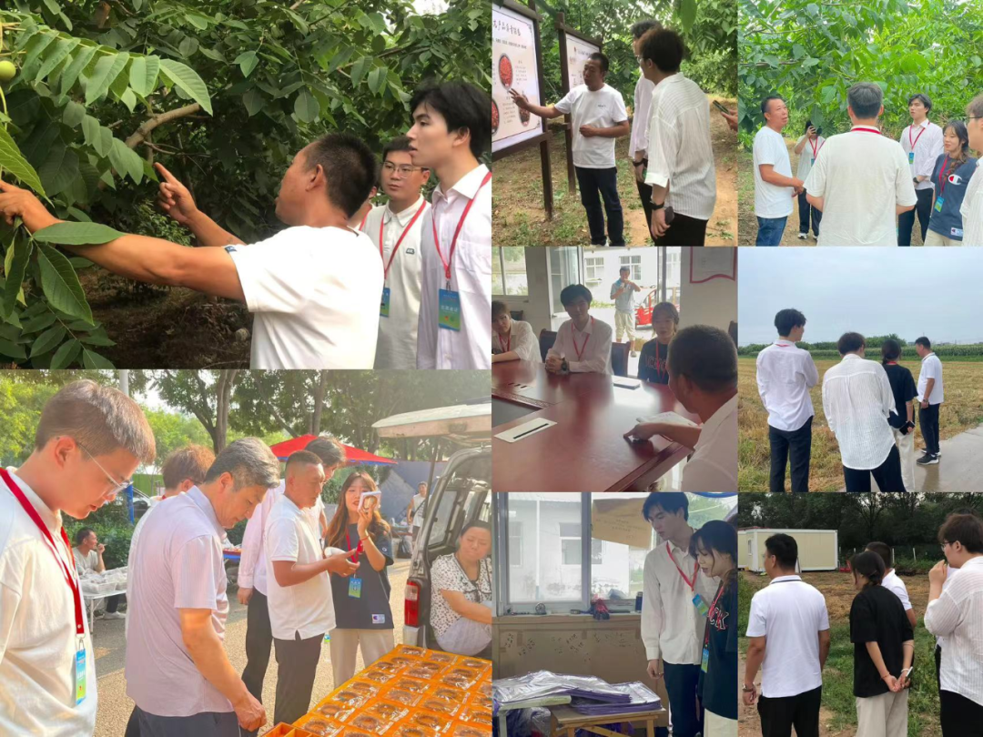 社会实践（二）|青春筑梦乡村，矢志不渝献力量——保定理工学院“行以志远”乡村振兴实践团社会实践活动