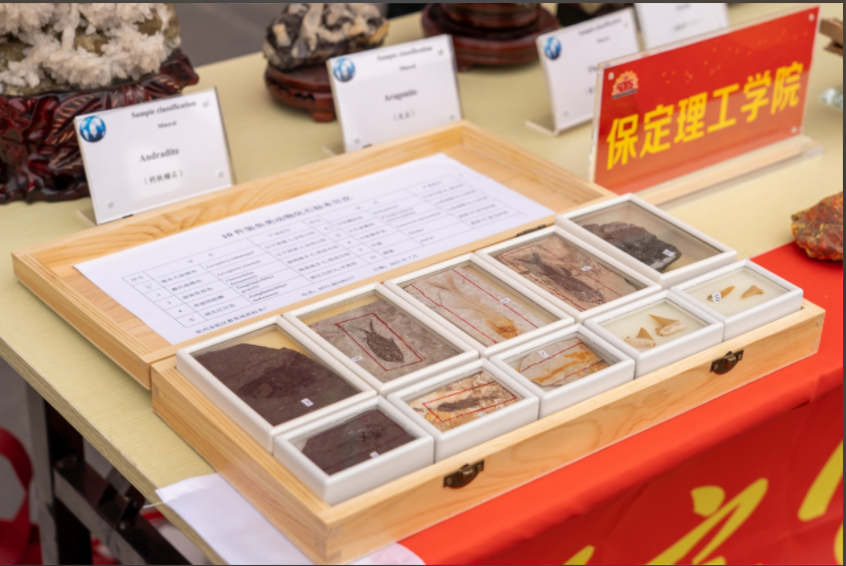 保定理工学院资源与工程技术学院地质馆成功举办主题宣讲活动