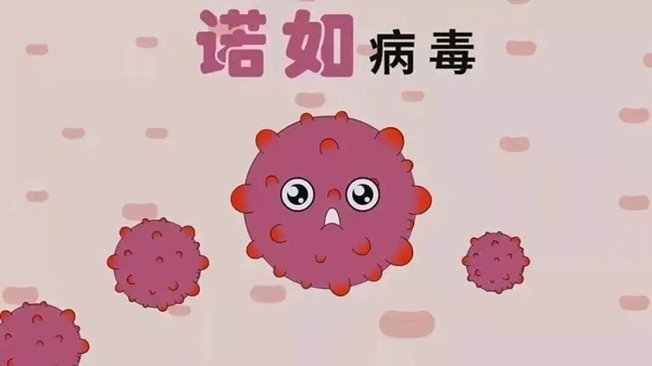 疾病防控|保定理工学院|管理学院|诺如病毒进入高发期，这份防护指南请收好！