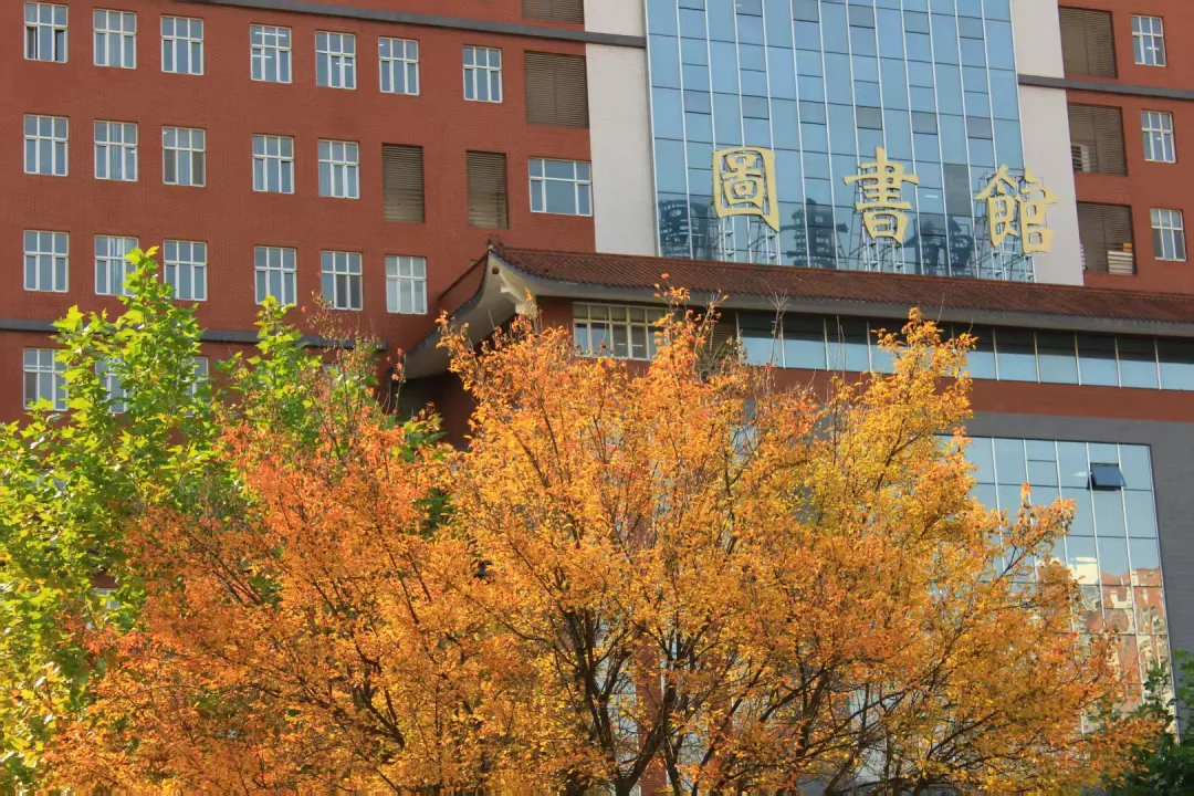 【教育学院·校园小记】秋日回顾：保理的秋与朝暮