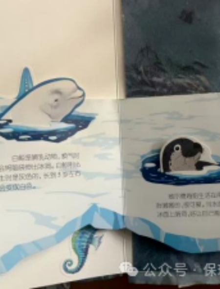 指尖筑梦，纸间传情——视觉传达设计专业书籍装帧设计实训课程作品展示