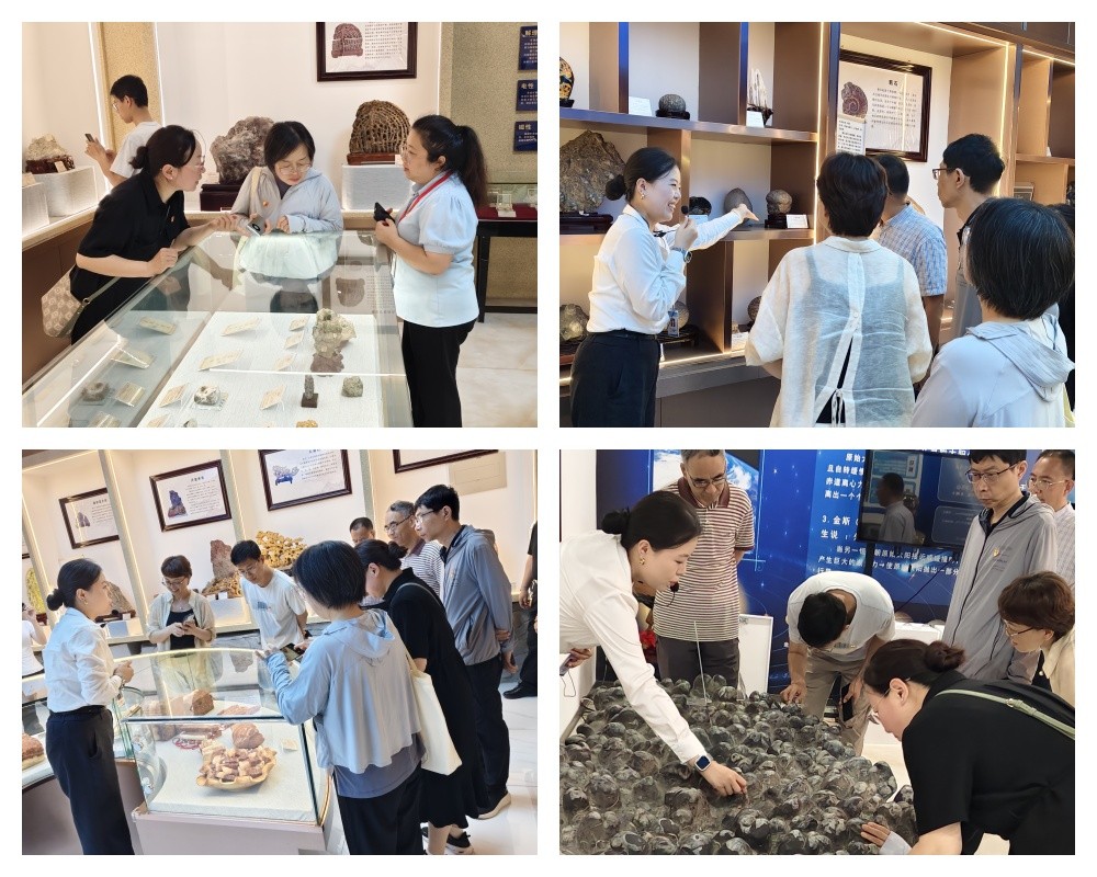 【红帜领航 信工逐光】党建结对聚合力 共建赋能促发展 ——保定理工学院信工学院教工党支部与河北大学网计学院计科系教工党支部开展党建共建活动